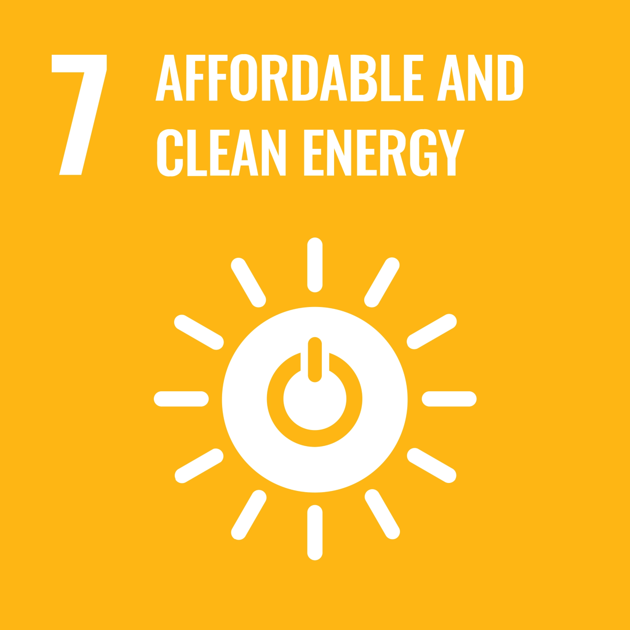 SDG #7