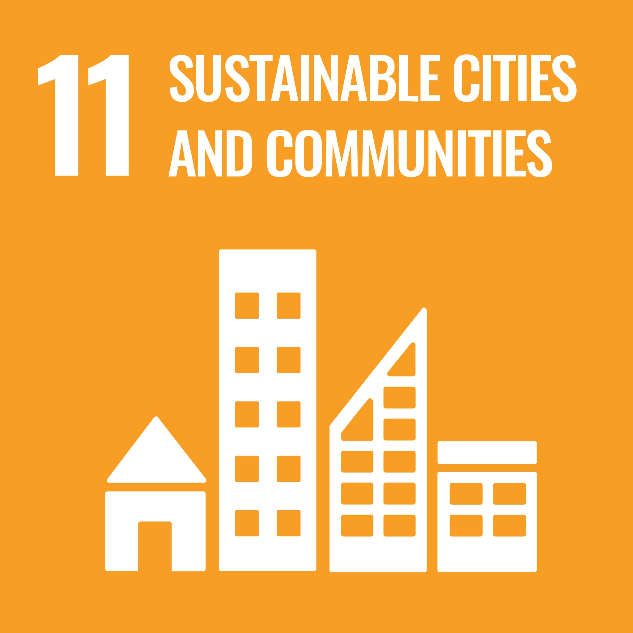 SDG #11