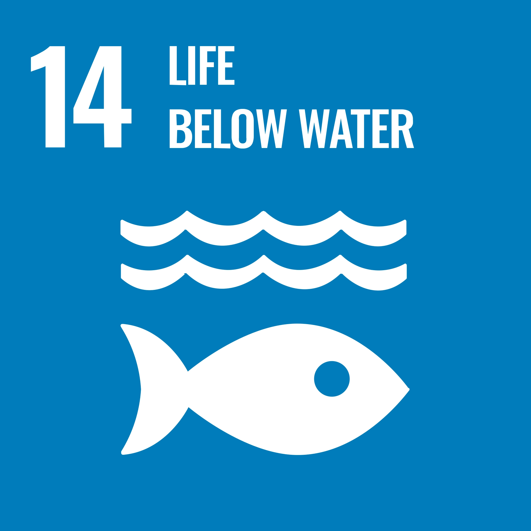SDG #14